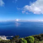 Alma Mari *